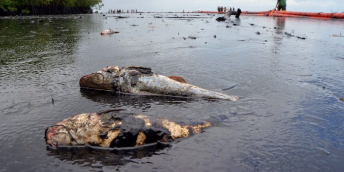 Niger-Delta-Oil-Spill-2-1024x512-e1479236857768.jpg